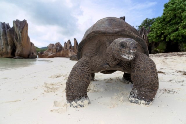 Santuário natural imperdível em Seychelles